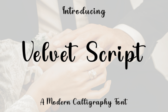 Velvet Script: Infusing Modern Romance into Your Brand